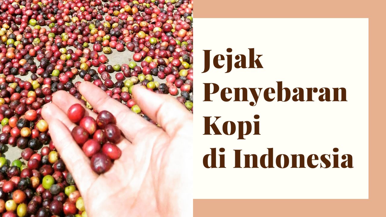 Menelusuri Jejak Penyebaran Varietas Kopi Di Indonesia Halaman 1 ...