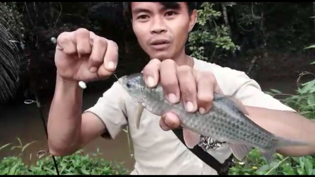 Waktu Yang Tepat Untuk Mancing Ikan Di Sungai Kompasiana Com Waktu Yang Tepat Untuk Mancing Ikan Di Sungai Kompasiana Com