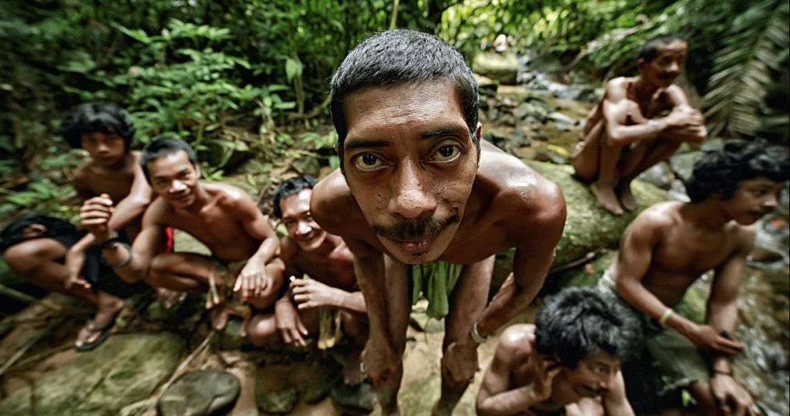 Mengenal Orang Rimba di Jambi Halaman 1 Kompasiana com Mengenal Orang Rimba di Jambi Halaman 1 Kompasiana com