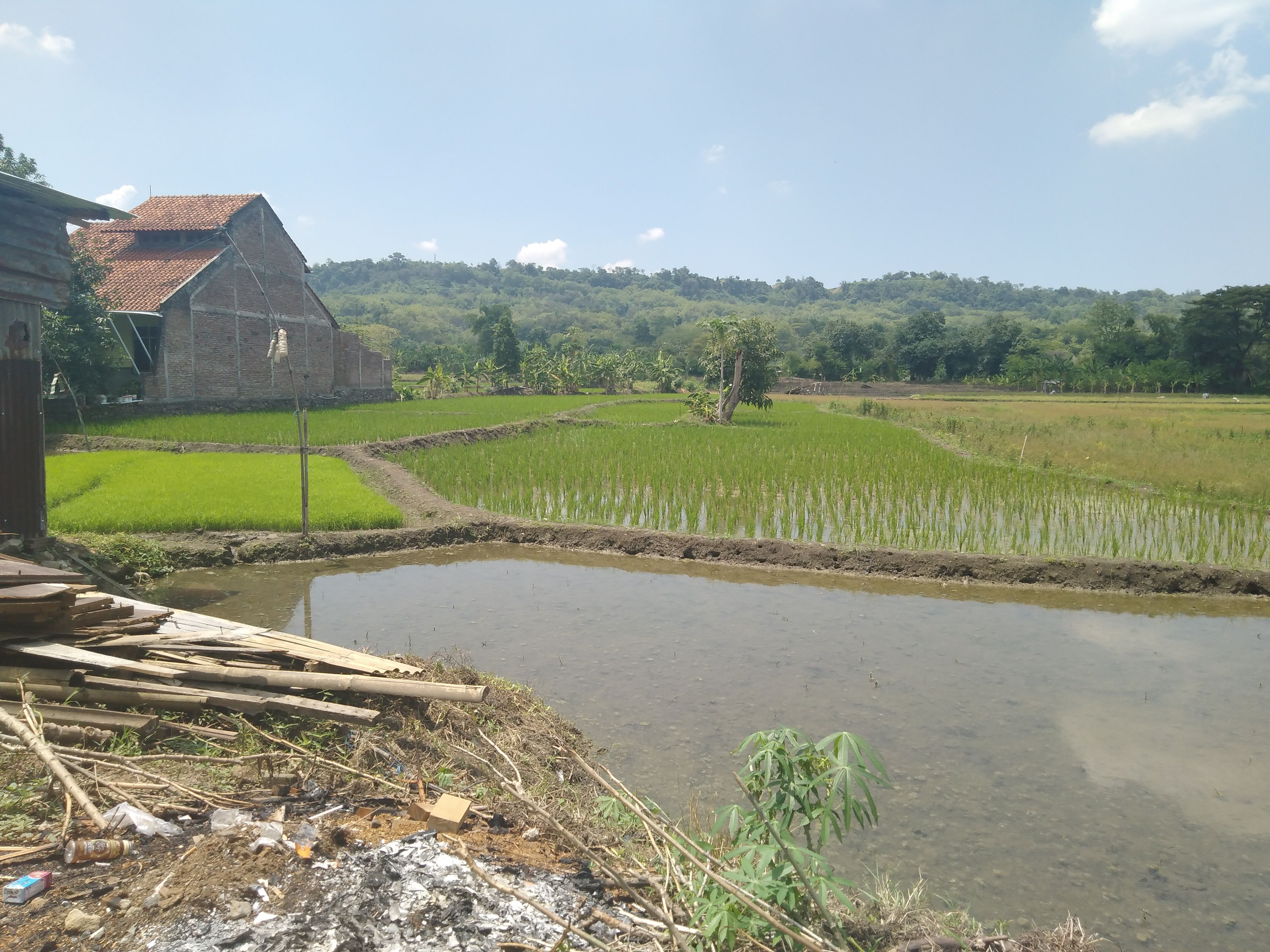 Sawah Ladang Kami Dahulu Sangat Luas Kompasiana Com