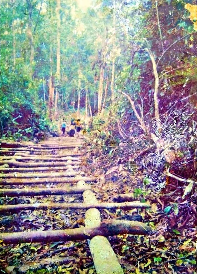 Katta kokrak bilan porno milfs