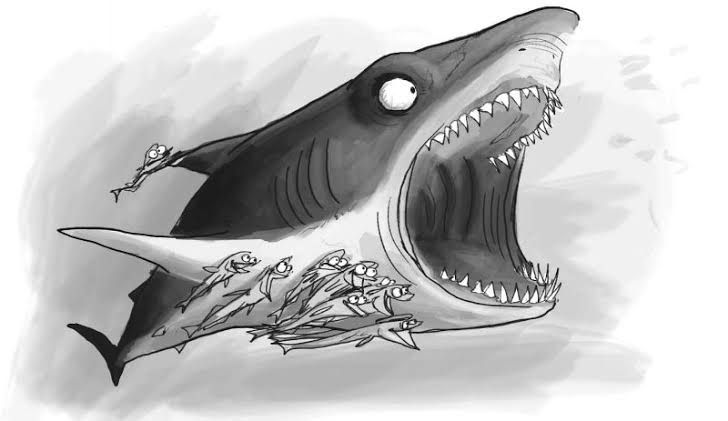 Persahabatan Hiu Dan Ikan Remora Halaman 1 Kompasiana Com