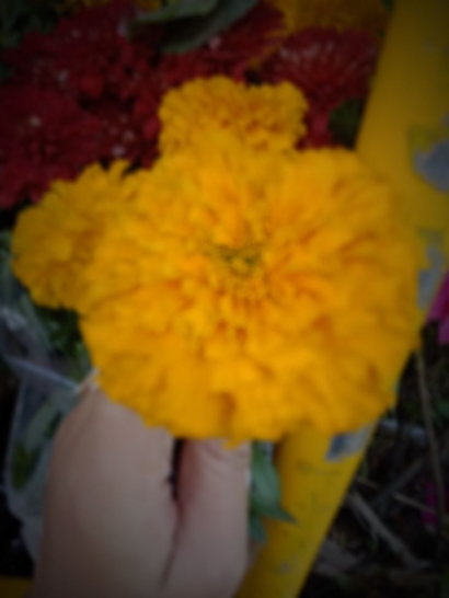 Cerpen The Miracle Of Doa Kun Fayakun Setiap Yang Pergi Pasti Akan Diganti Halaman All Kompasiana Com Cerpen The Miracle Of Doa Kun Fayakun Setiap Yang Pergi Pasti Akan Diganti Halaman All Kompasiana Com