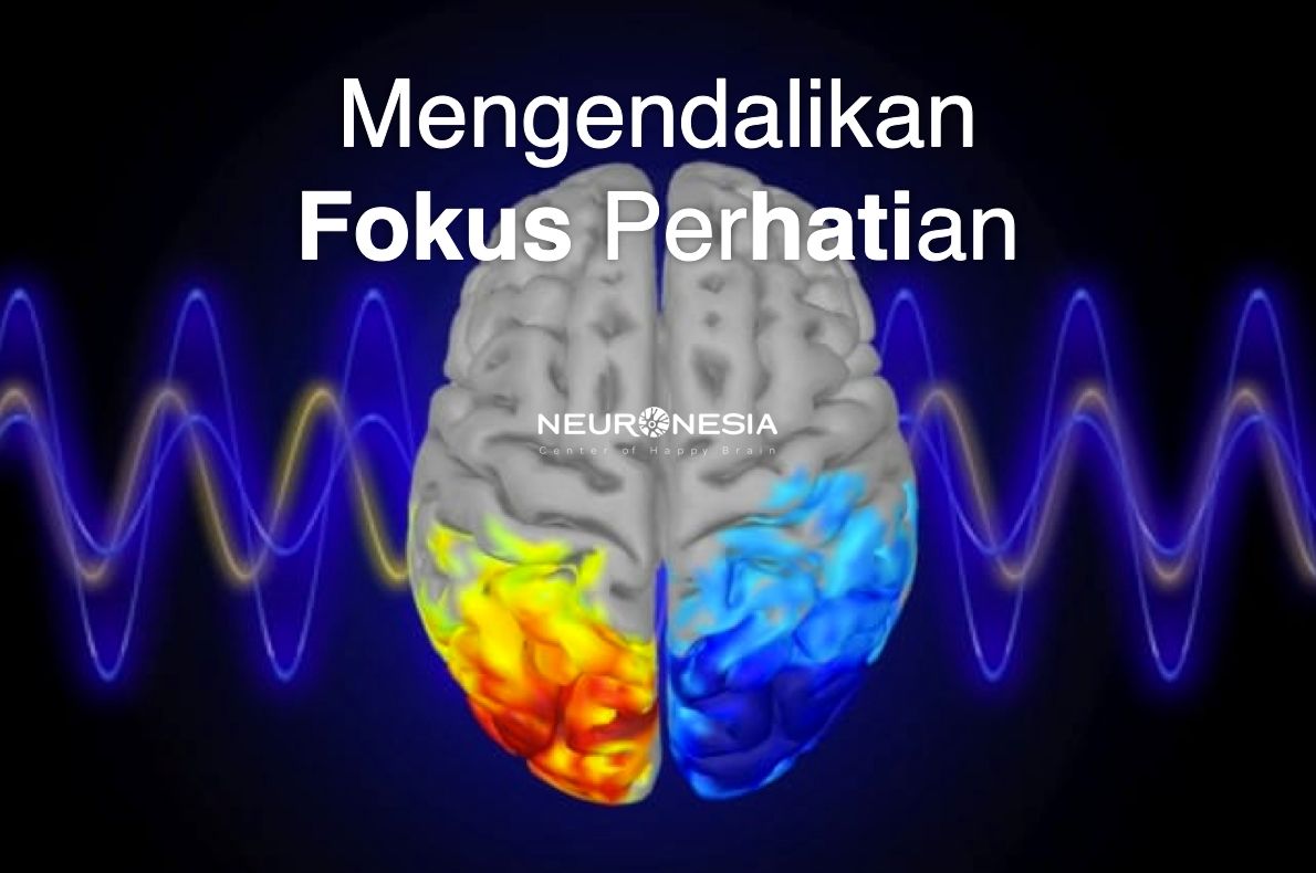 Perhatian Mengendalikan Fokus Perhatian dengan Gelombang Otak Halaman 1 ...