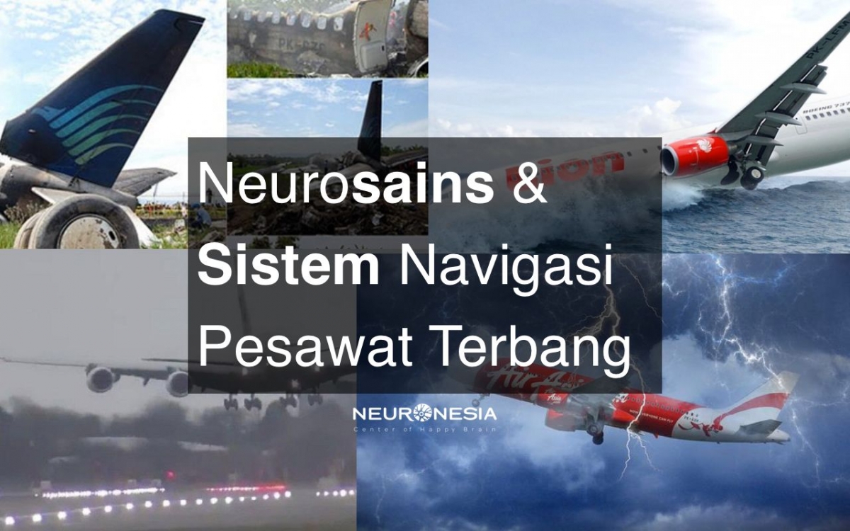 Neurosains Dan Sistem Navigasi Pesawat Terbang Halaman All Kompasiana Com