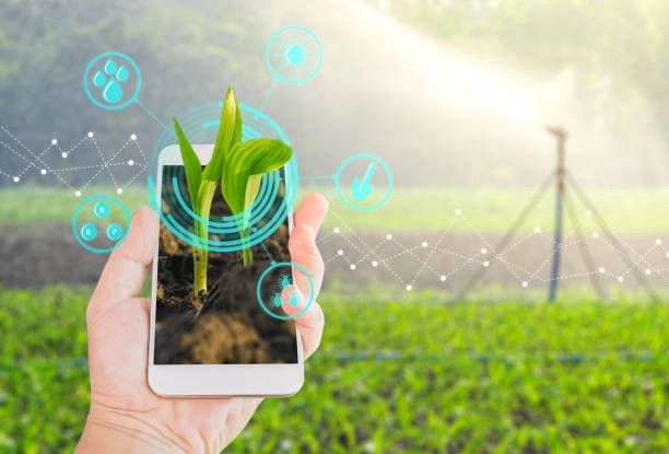 Smart Farming Dan Short Food Supply Chain Apa Itu Mengapa Penting Apakah Mereka Bisa Dikombinasikan Halaman 1 Kompasiana Com