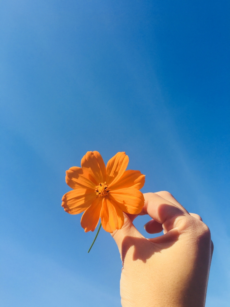 Filsafat Estetika Yang Terlupakan Halaman All Kompasiana Com