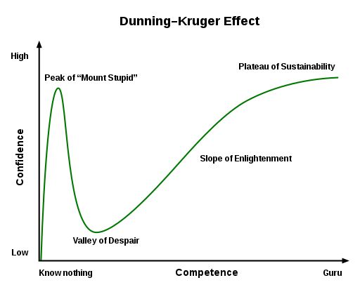 Dunning-Kruger Effect Itu Nyata! Halaman all - Kompasiana.com