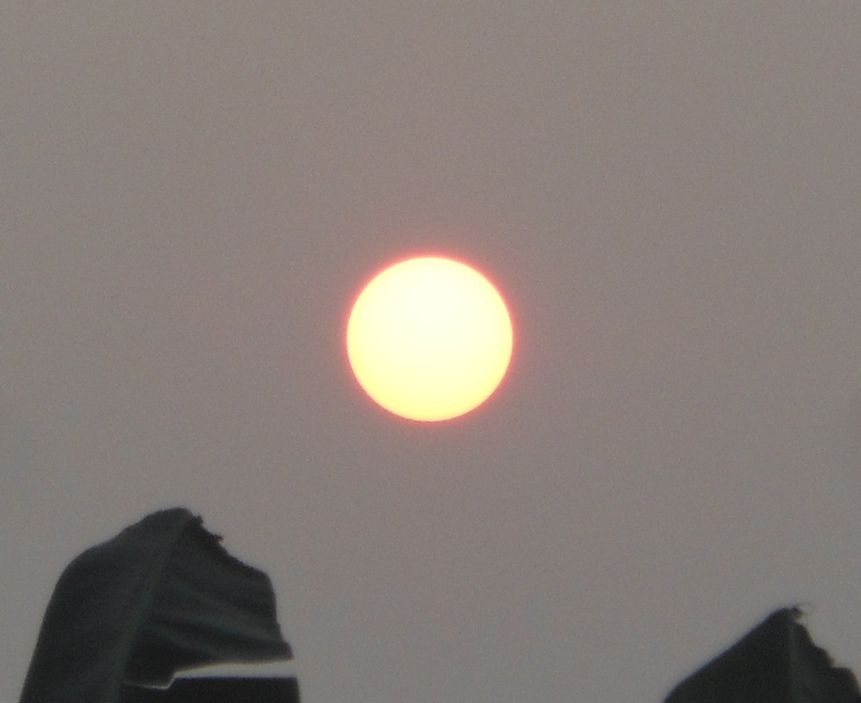 Mentari Pagi Halaman All Kompasiana Com