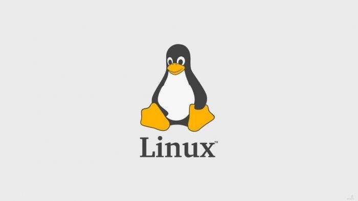 Nyaman Dengan Open Source Aman Dengan Linux Halaman All Kompasiana Com