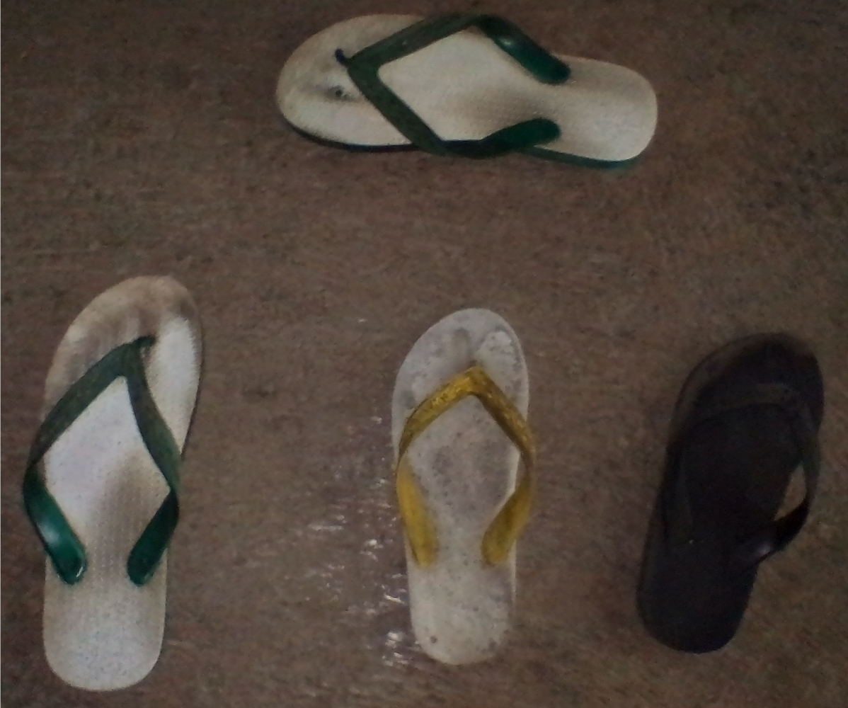 Mengapa Sandal Jepit yang Putus Lebih Banyak Sebelah Kanan Mengapa Sandal Jepit yang Putus Lebih Banyak Sebelah Kanan
