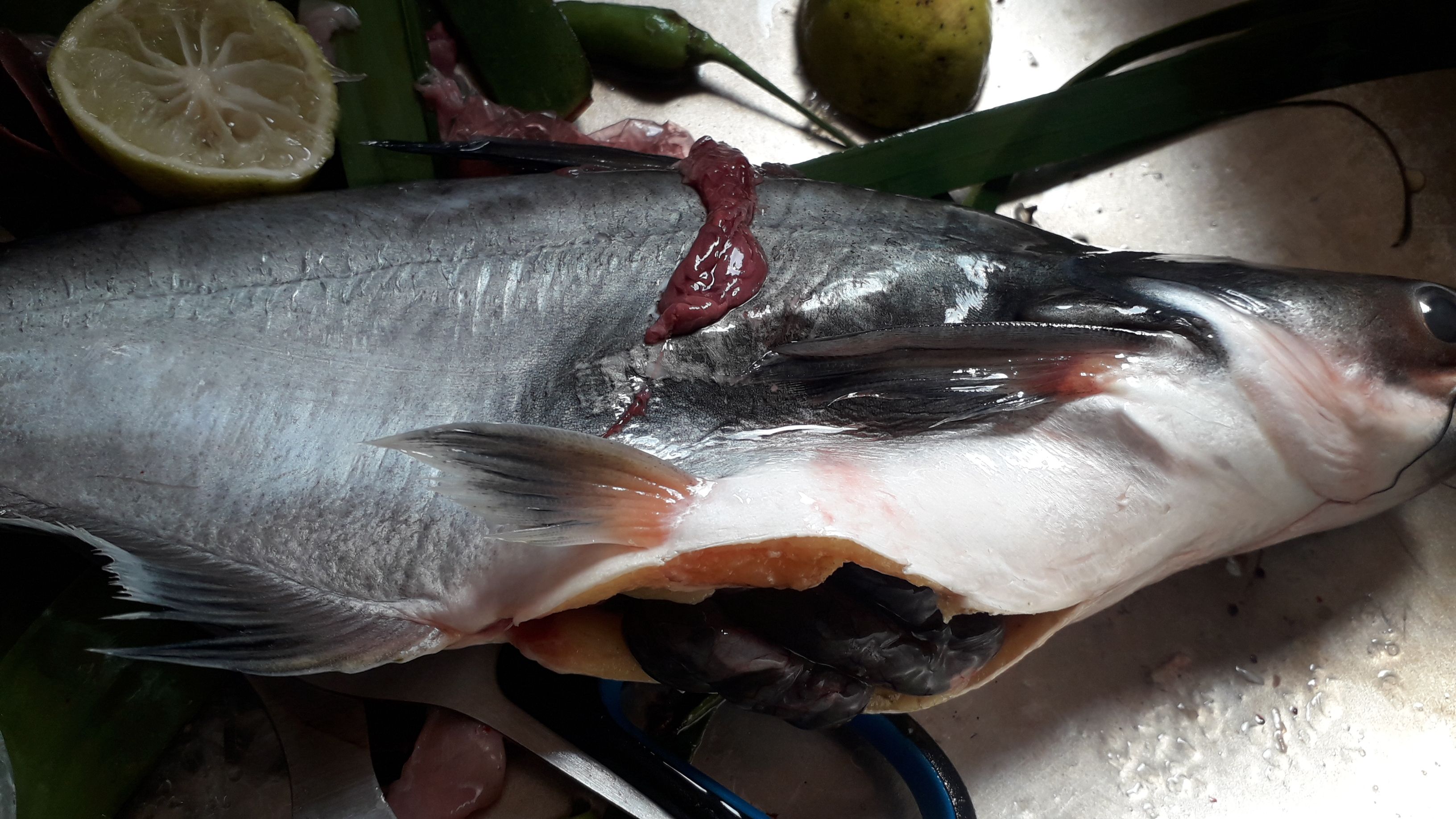 Garang Asem Ikan Patin Kreasi Masakan Istri Halaman All Kompasiana Com