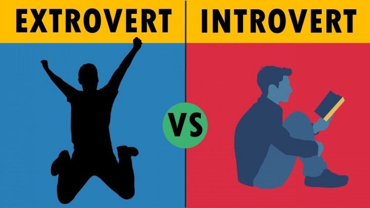 Memilih Pasangan Ideal Introvert Atau Extrovert Halaman All Kompasiana Com