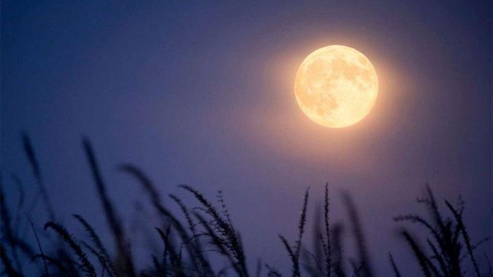 Lagu Sendu Wanita Patah Hati Halaman All Kompasiana Com