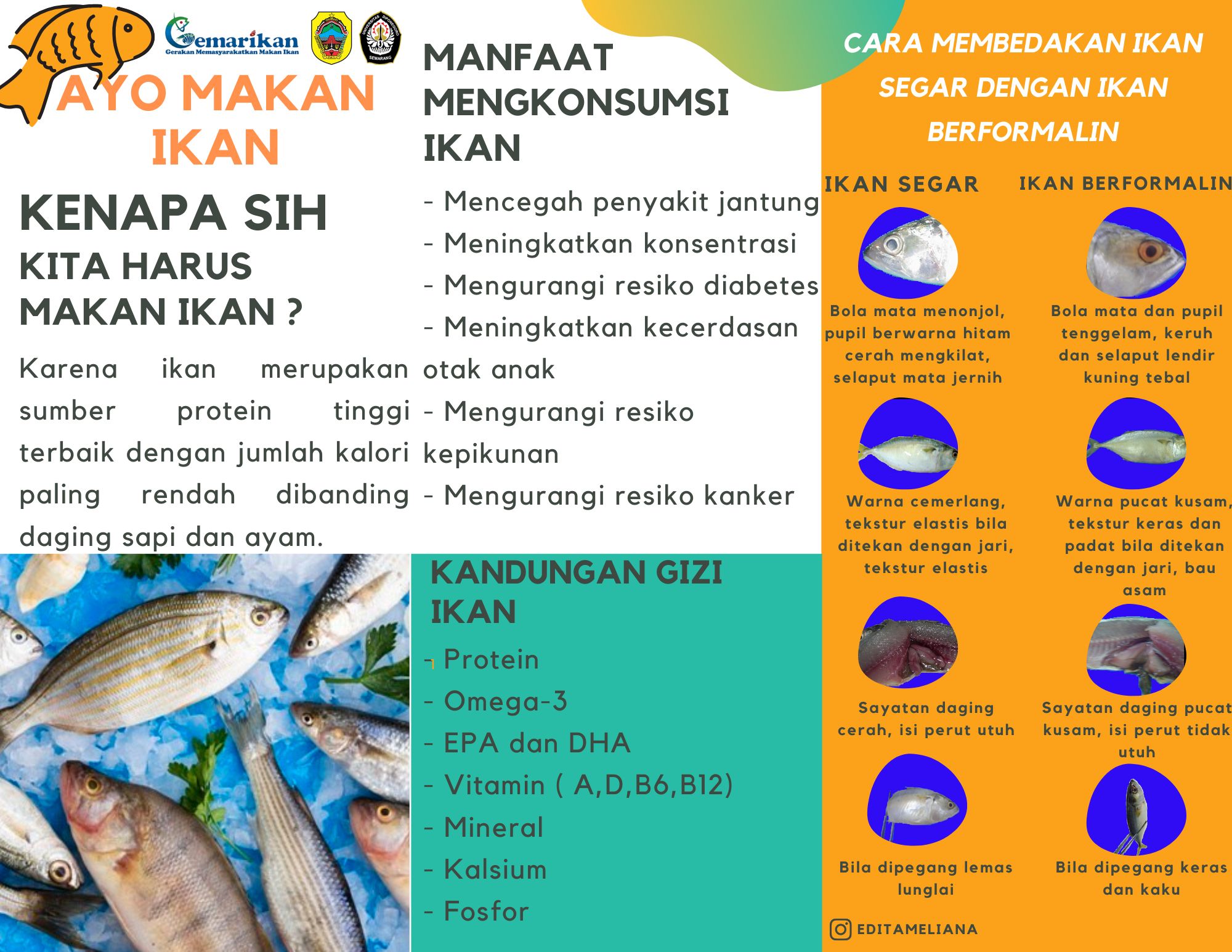 Dongkrak Angka Konsumsi Ikan Mahasiswa Undip Sosialisasikan Program Gemarikan Kepada Warga Desa Grogolan Halaman All Kompasiana 