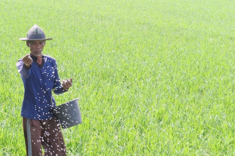 Menatap Masa Depan Pertanian Indonesia Halaman 1 Menatap Masa Depan Pertanian Indonesia Halaman 1