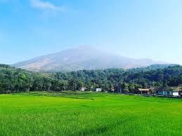Cibuntu Agrowisata Desa Cibuntu Jadi yang Terbaik - Kompasiana.com