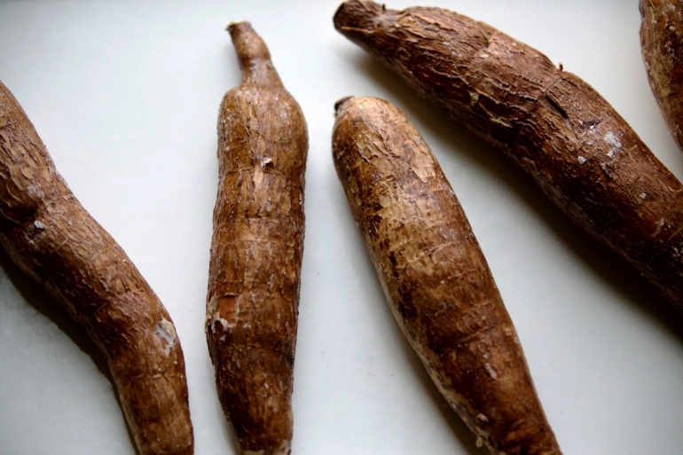 Mengobati Penyakit Maag Dengan Singkong Halaman 1 Kompasiana Mengobati Penyakit Maag Dengan Singkong Halaman 1 Kompasiana