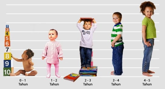 Fase Pertumbuhan dan Perkembangan Manusia Halaman all Kompasiana.com