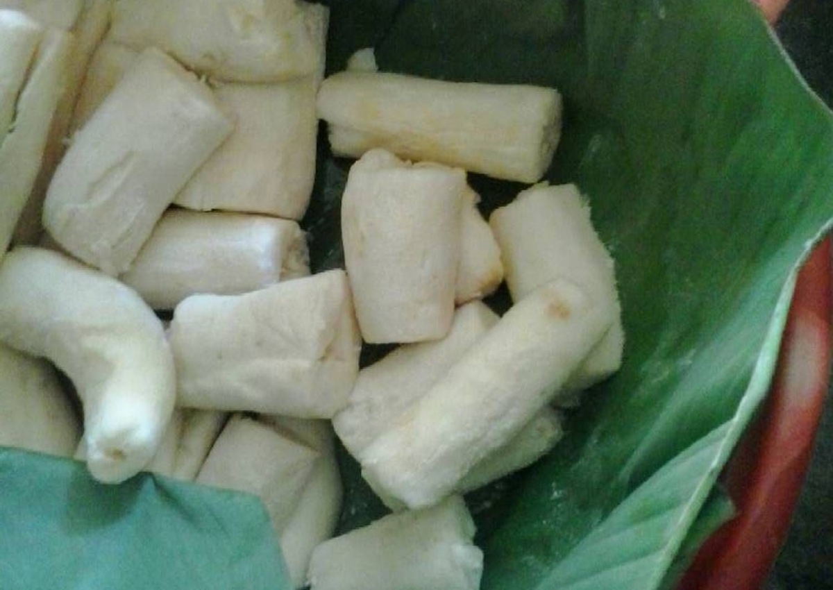 Home Industri Pembuatan Tape Singkong Halaman 1 - Kompasiana.com