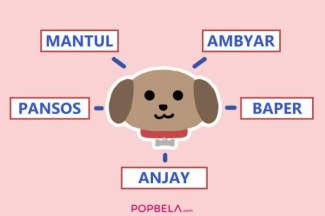 Kata Anjay Mempererat Persahabatan Halaman All Kompasiana Com