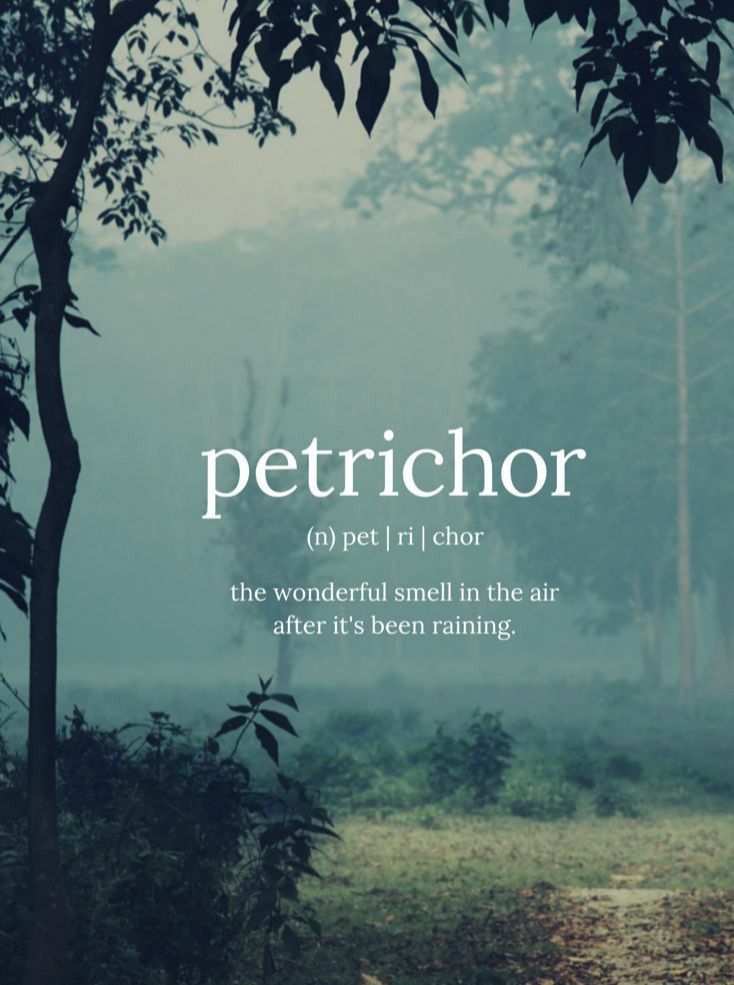 Discussion My mood depends on the weather and today it's raining