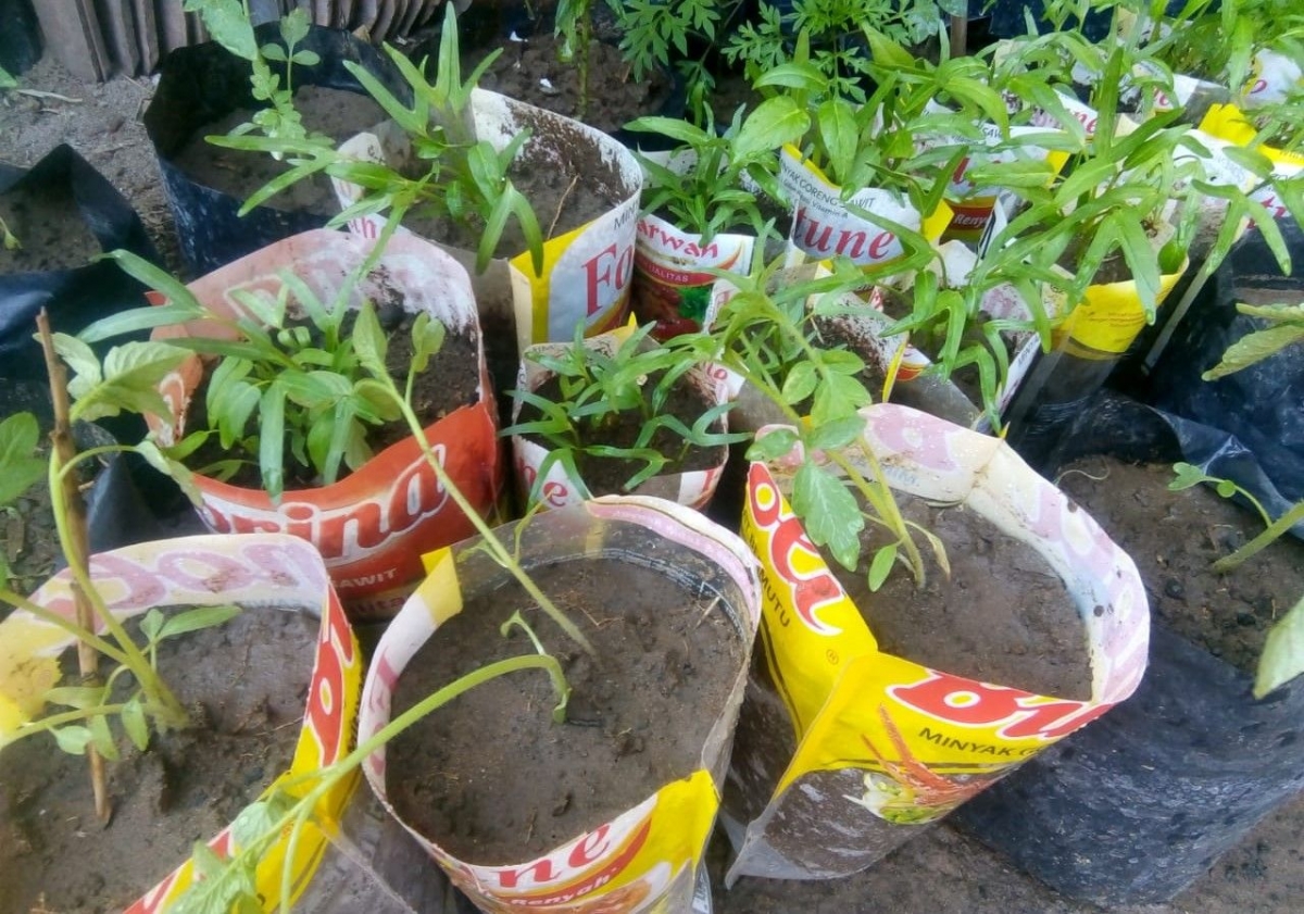 Kelola Sampah Rumah Tangga Kemasan Minyak Goreng Jadi  Kelola Sampah Rumah Tangga Kemasan Minyak Goreng Jadi