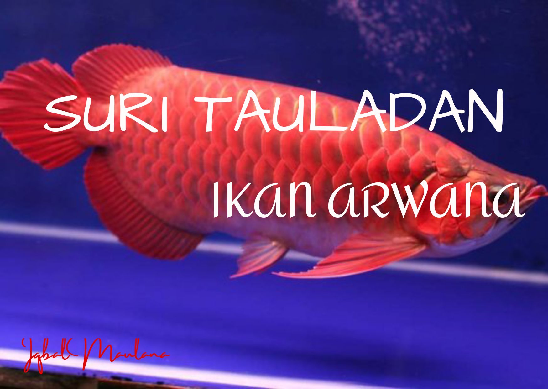 Cerpen Suri Tauladan Dari Ikan Arwana Halaman All Kompasiana Com