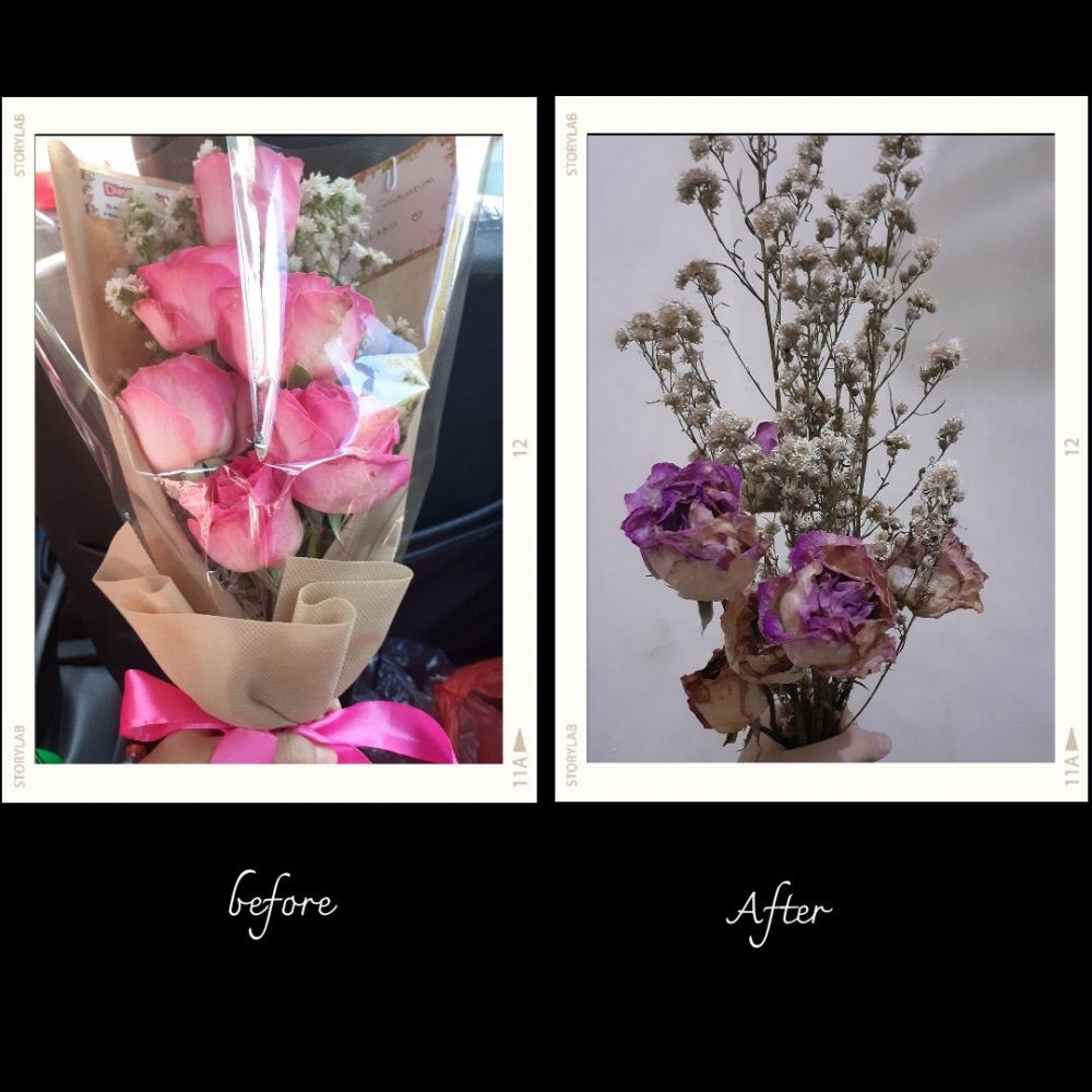 Cara Mengeringkan Bunga agar Tidak Layu Terbuang Cara Mengeringkan Bunga agar Tidak Layu Terbuang