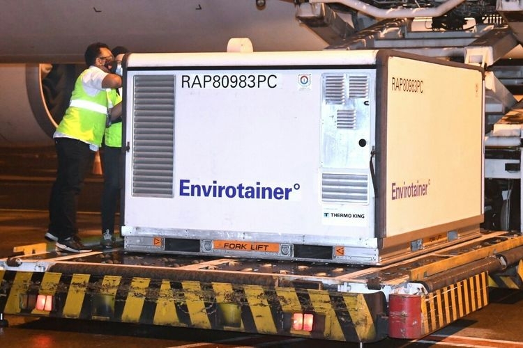 Cold Chain Kunci Sukses Program Vaksinasi Covid 19 di Cold Chain Kunci Sukses Program Vaksinasi Covid 19 di