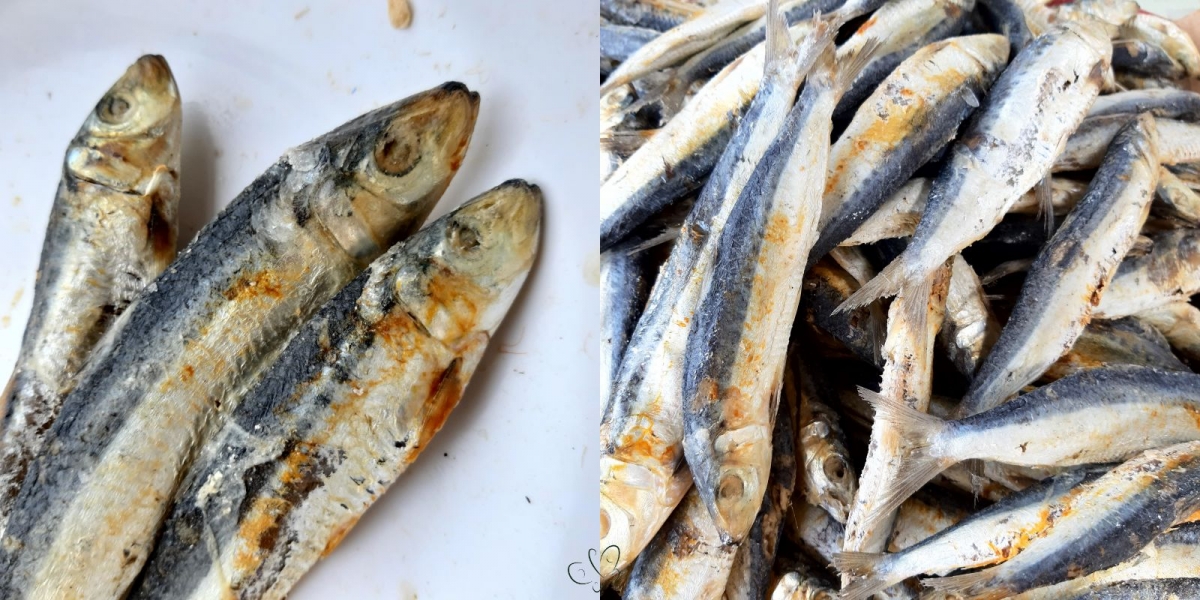 Ikan Asin Layang Produk Perikanan yang Perlu Dipasarkan Ikan Asin Layang Produk Perikanan yang Perlu Dipasarkan