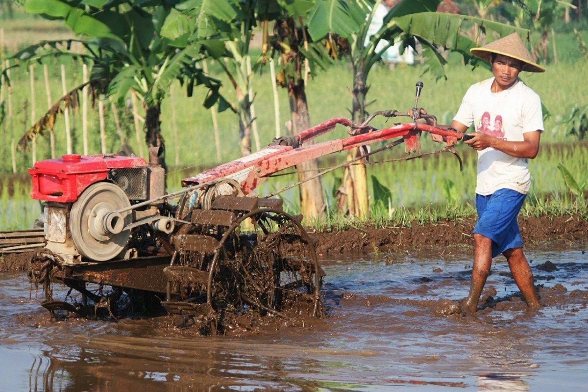 4 Jenis Investasi yang Bisa Dilakukan oleh Petani, Apa Saja? Halaman 1