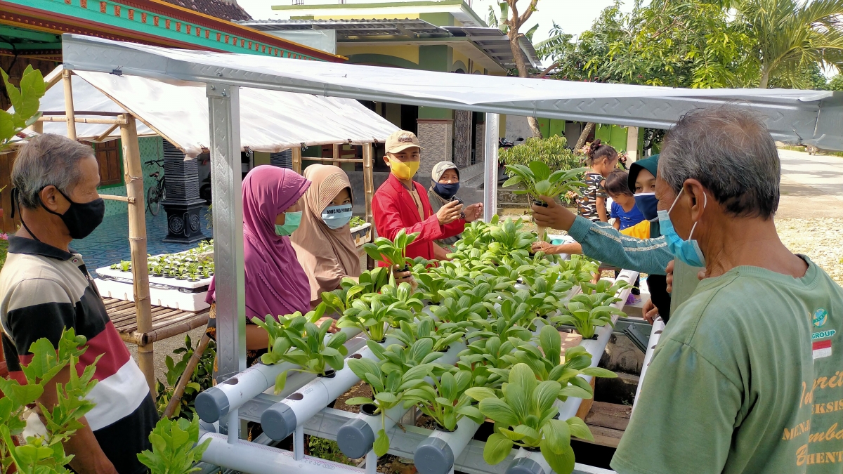 Pendidikan untuk Petani: Pelatihan Pertanian sebagai Sarana Peningkatan Pengetahuan dan Keterampilan