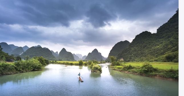 Puisi Di Atas Sebatang Pohon Pisang Kompasiana com Puisi Di Atas Sebatang Pohon Pisang Kompasiana com