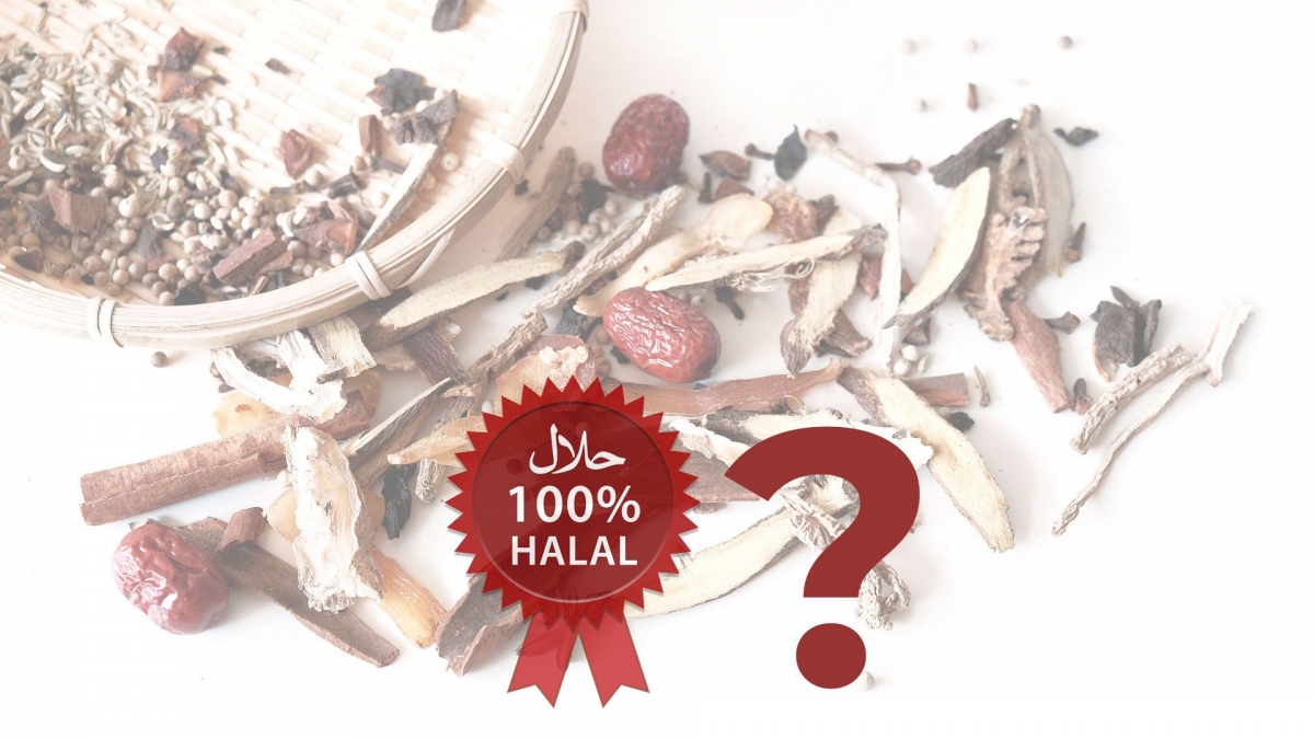 Cara forex yang halal