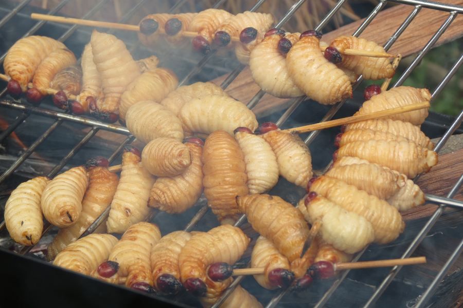 Beberapa Makanan  Aneh  tapi  Jadi Favorite Apa Aja sih 