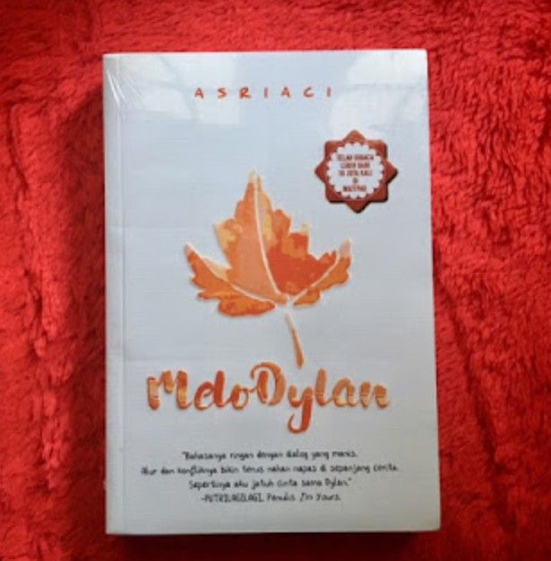 Artikel Karya Sastra Novel Melodylan Karya Asriaci Halaman All Kompasiana Com