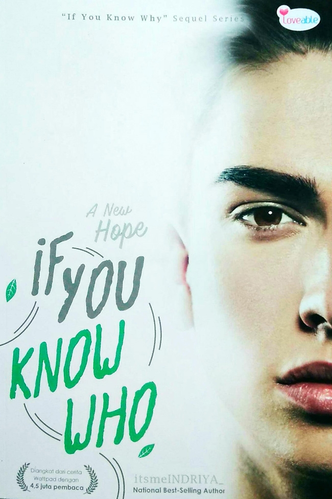 Resensi Novel If You Know Who Karangan Itsmelndriya Kompasiana Com Resensi Novel If You Know Who Karangan Itsmelndriya Kompasiana Com