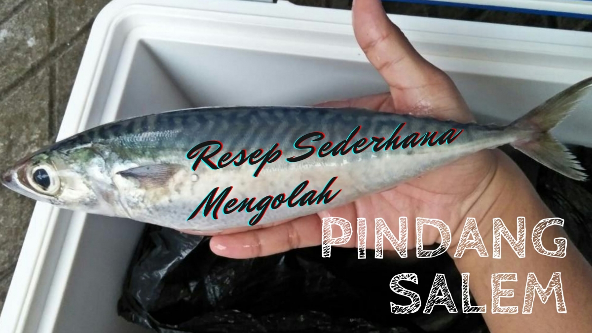Resep Pindang Ikan Salem 1 496 resep ikan salem enak dan Resep Pindang Ikan Salem 1 496 resep ikan salem enak dan
