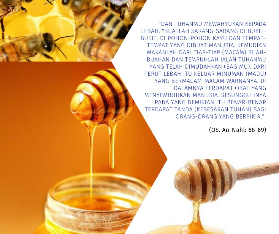 Khasiat Madu Tidak Cuma Mitos Halaman All Kompasiana 