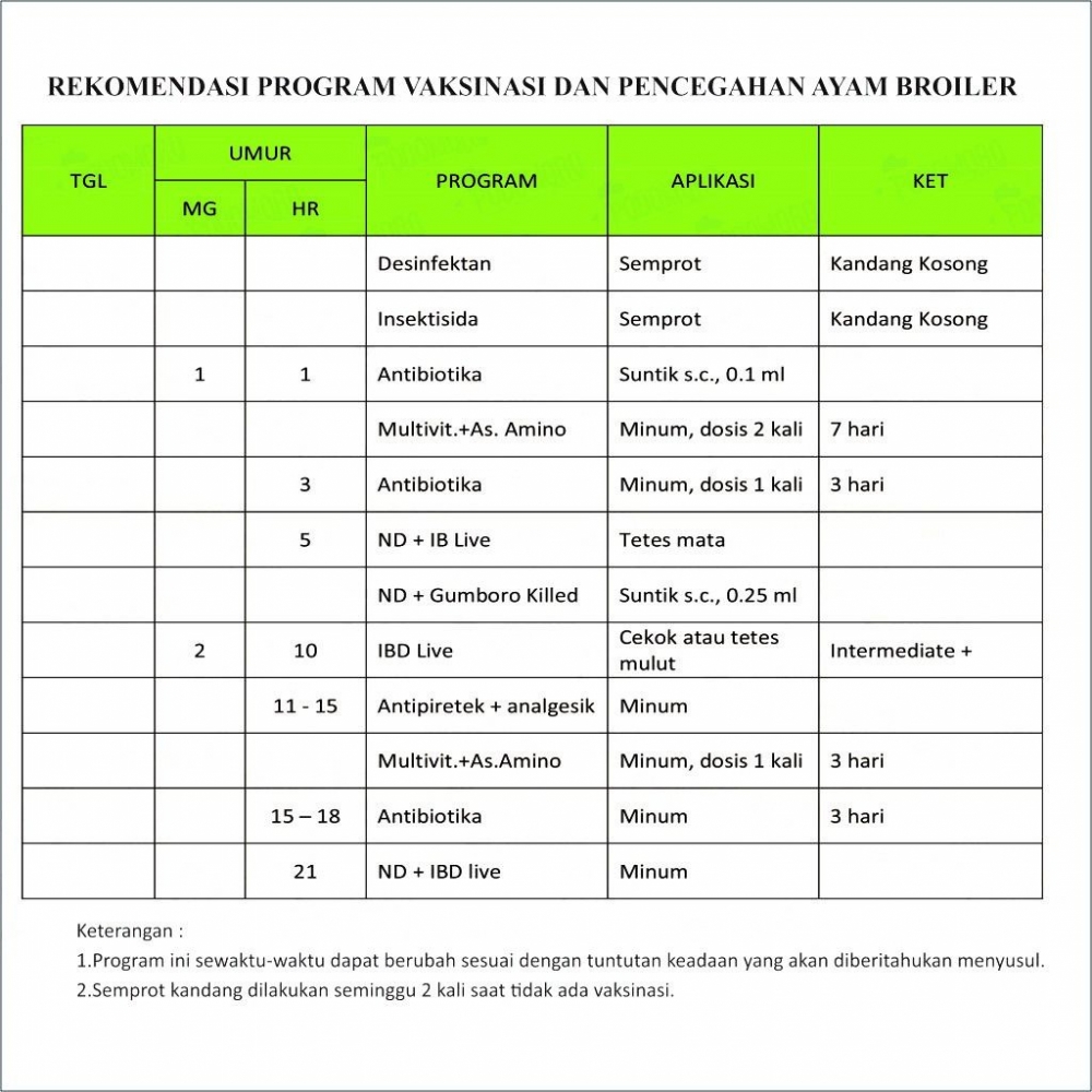 Jadwal Vaksin Ayam Bangkok Seberapa Penting Vaksinasi pada Ayam Broiler? - Kompasiana.com