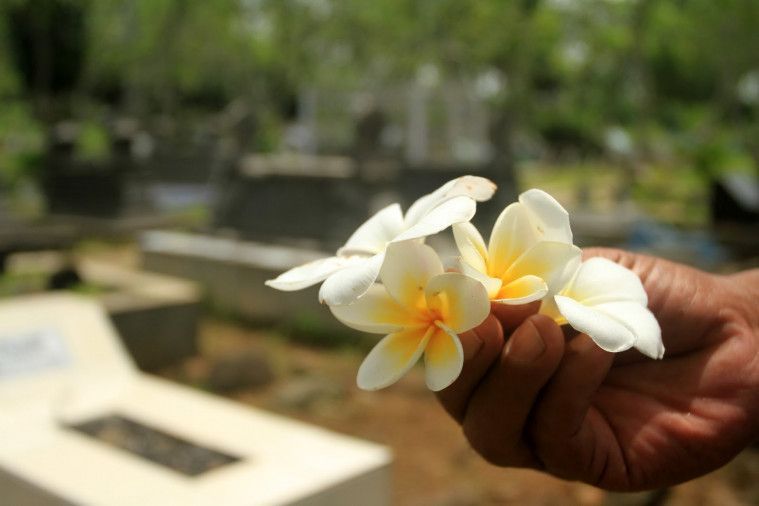 Kesaksian Bunga Kamboja Di Pusara Kompasiana Com