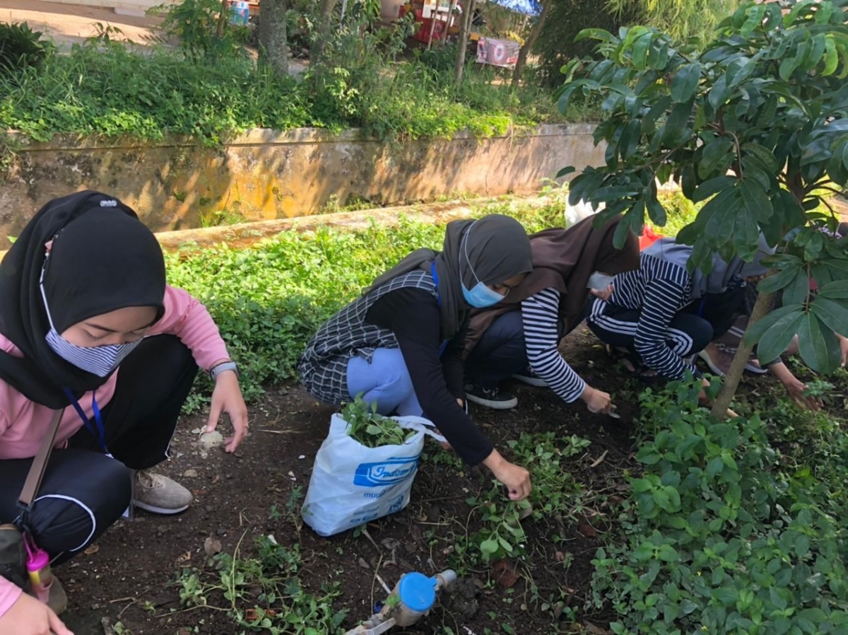 Program Penanaman Tanaman Hias  di Puskesmas Desa Tegalweru  Program Penanaman Tanaman Hias  di Puskesmas Desa Tegalweru