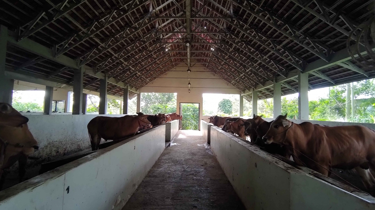 Memperkenalkan Konsep Penggemukan Hewan yang Modern untuk Warga Desa Cikoneng