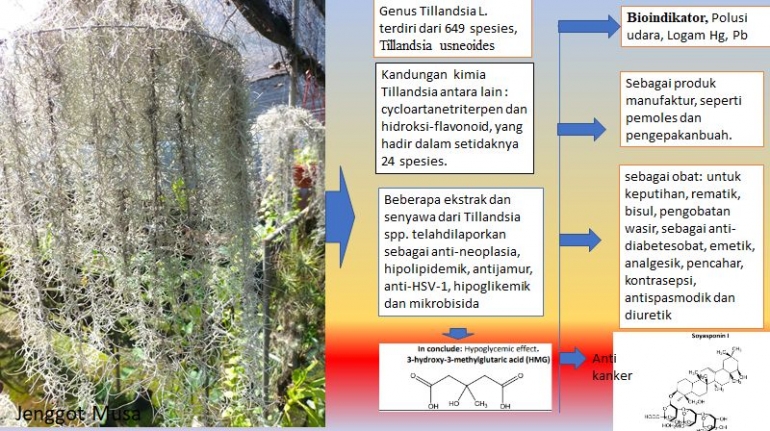 Kattalar uchun tentacles animatsiyalarini tomosha qiling. Yosh onalar külotlu çorap porno tube