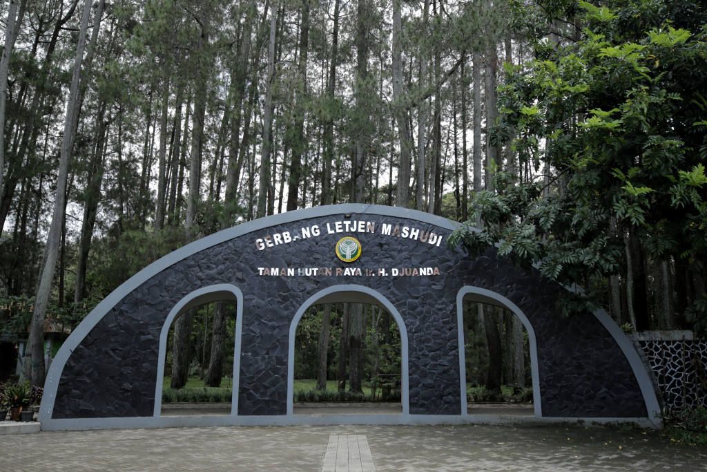 Taman Hutan Raya Ir. H. Djuanda