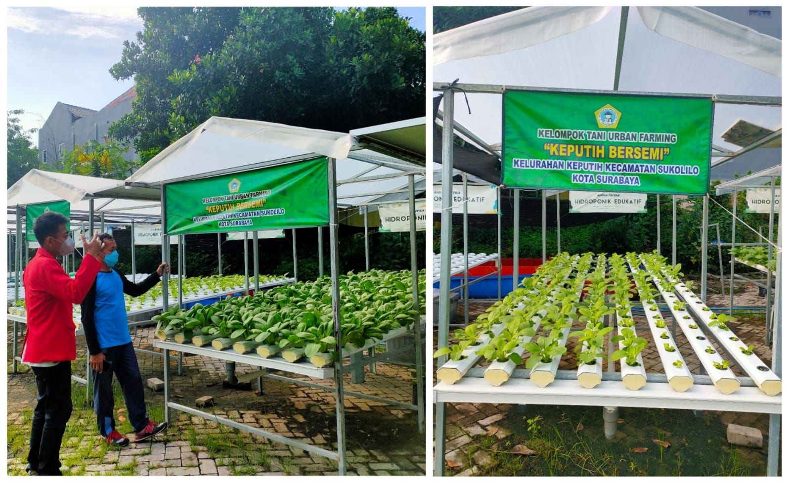 Panen Raya Digital Marketing: Menuai Hasil dari Strategi yang Terencana