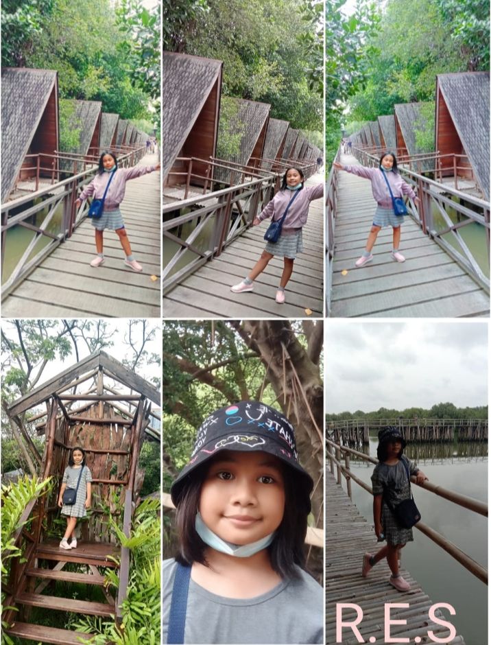 Wisata Edukasi: Yuk Ke Taman Wisata Alam Mangrove PIK! - Kompasiana.com