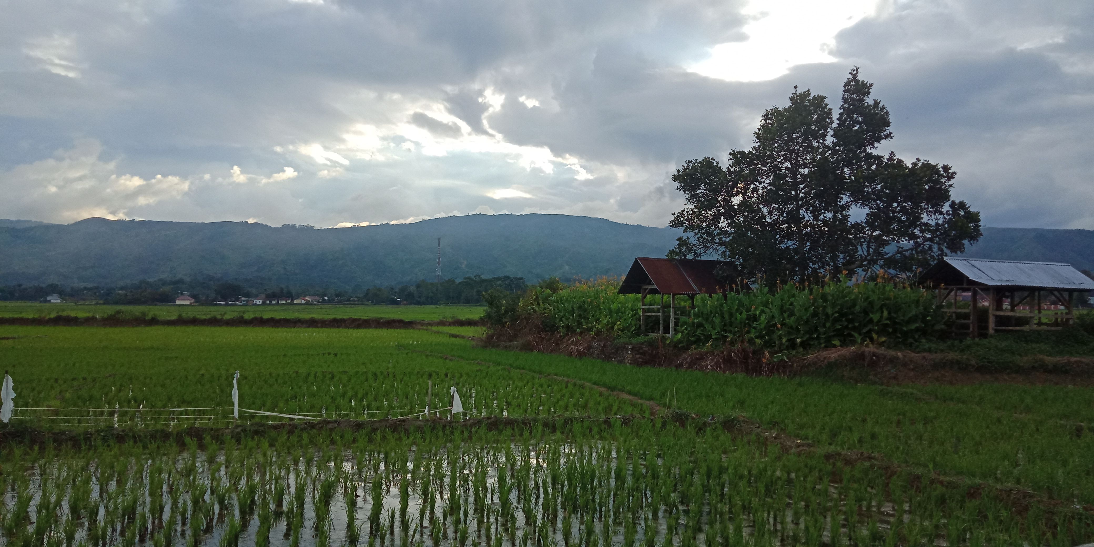 Bir yigit klubda jinsiy aloqa qilmoqda Retro chozilgan fotosuratlar