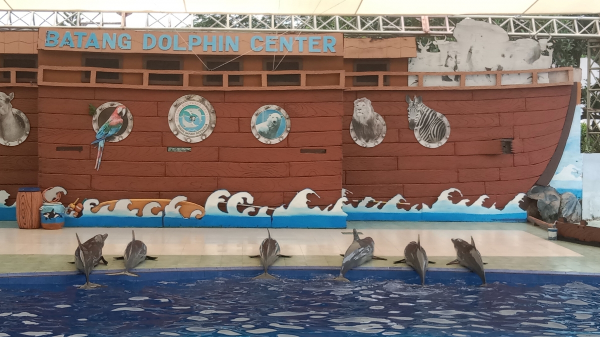 Scottish Dolphin Center. Сайт центра дельфин